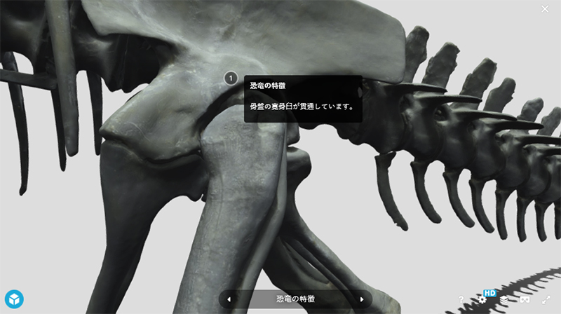 日本科學博物館免費開放線上數位恐龍展覽室,用 360 影像觀賞恐龍化石 - 電腦王阿達 日本科學博物館免費開放線上數位恐龍展覽室,用 360 影像觀賞恐龍化石 - 電腦王阿達