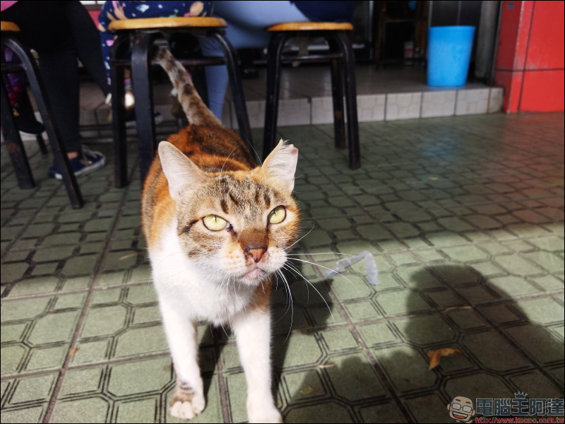 POCO M3 開箱、評測|6000mAh 大電量超乎想像,極致性價比王者重返台灣市場 - 電腦王阿達 POCO M3 開箱、評測|6000mAh 大電量超乎想像,極致性價比王者重返台灣市場 - 電腦王阿達