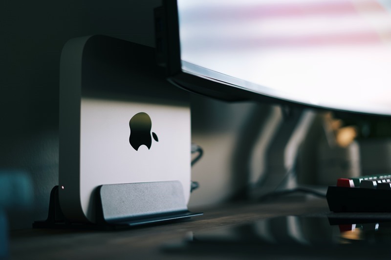 joey-banks-LMpaFri1PXk-unsplash joey-banks-LMpaFri1PXk-unsplash