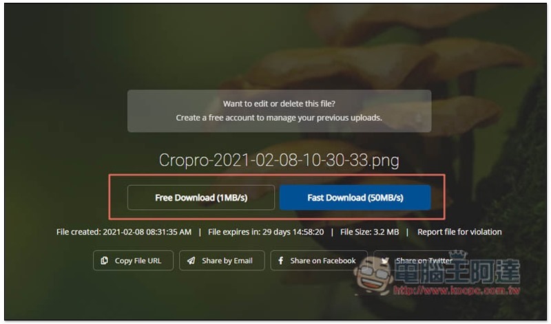 Cropro-2021-02-08-17-33-21 Cropro-2021-02-08-17-33-21