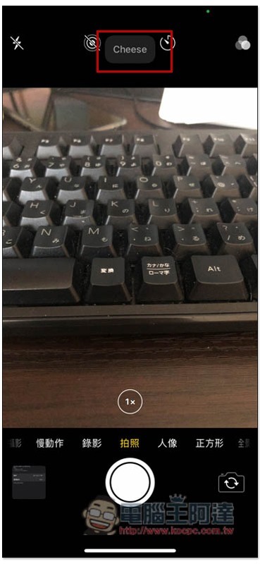 6 6