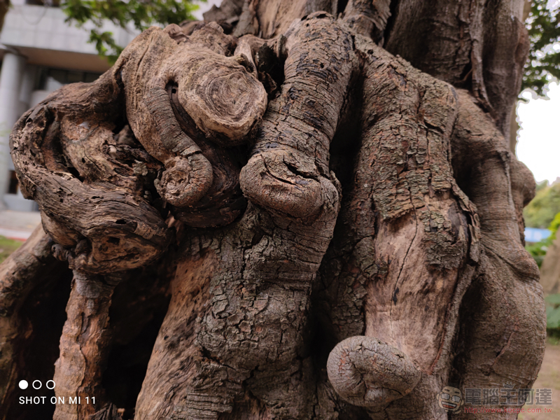 小米11 實拍評測:1 億 800 萬像素與 8K 電影級相機一手掌握最高 CP 值 - 電腦王阿達 小米11 實拍評測:1 億 800 萬像素與 8K 電影級相機一手掌握最高 CP 值 - 電腦王阿達