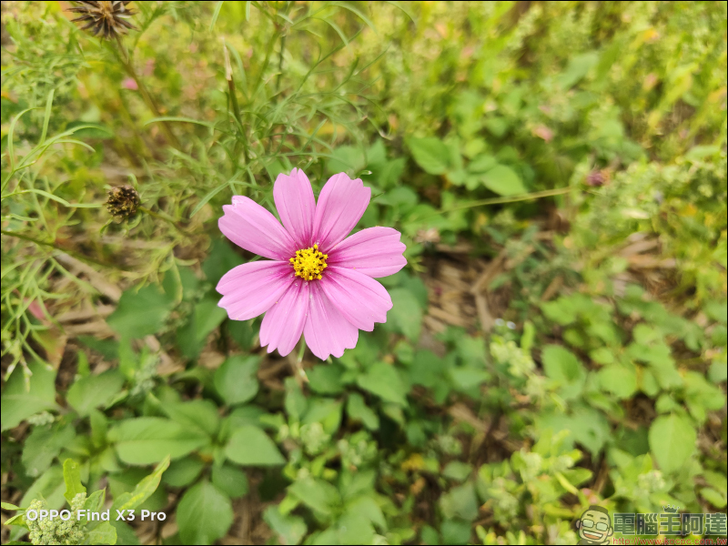 OPPO Find X3 Pro 簡單上手玩|10.7 億顯色螢幕、雙 50MP 大尺寸感光元件相機 - 電腦王阿達 OPPO Find X3 Pro 簡單上手玩|10.7 億顯色螢幕、雙 50MP 大尺寸感光元件相機 - 電腦王阿達