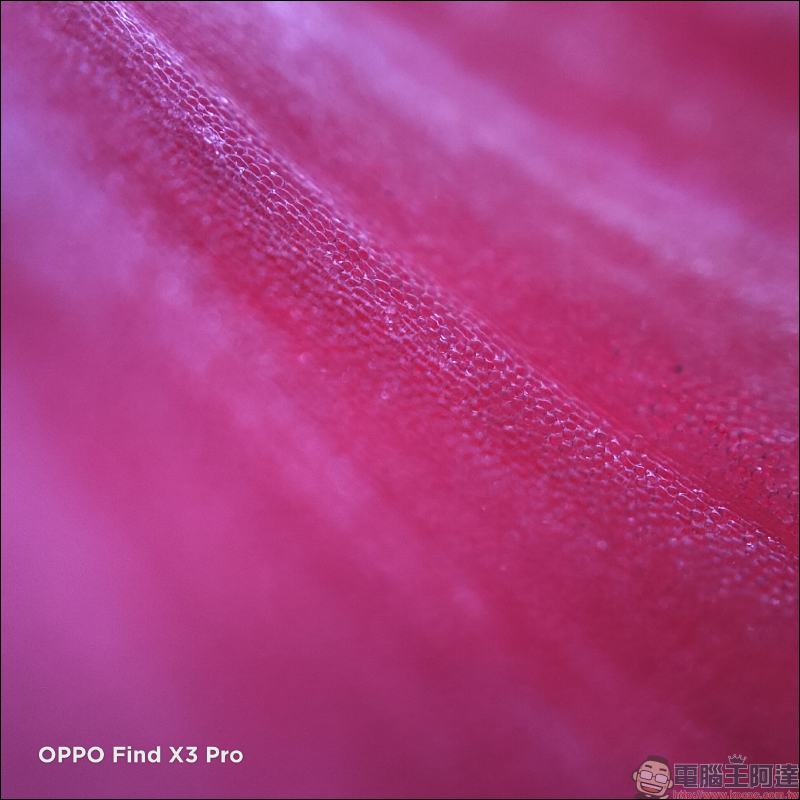 OPPO Find X3 Pro 簡單上手玩|10.7 億顯色螢幕、雙 50MP 大尺寸感光元件相機 - 電腦王阿達 OPPO Find X3 Pro 簡單上手玩|10.7 億顯色螢幕、雙 50MP 大尺寸感光元件相機 - 電腦王阿達