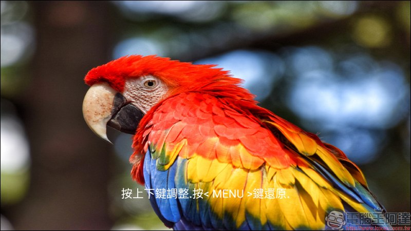 Wanbo 萬播 T2R Max 攜帶式微型投影機|超高CP值超早鳥只要 6980 - 電腦王阿達 Wanbo 萬播 T2R Max 攜帶式微型投影機|超高CP值超早鳥只要 6980 - 電腦王阿達