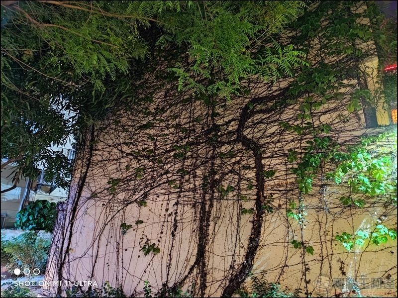 小米 11 Ultra 樣張 - 11 小米 11 Ultra 樣張 - 11