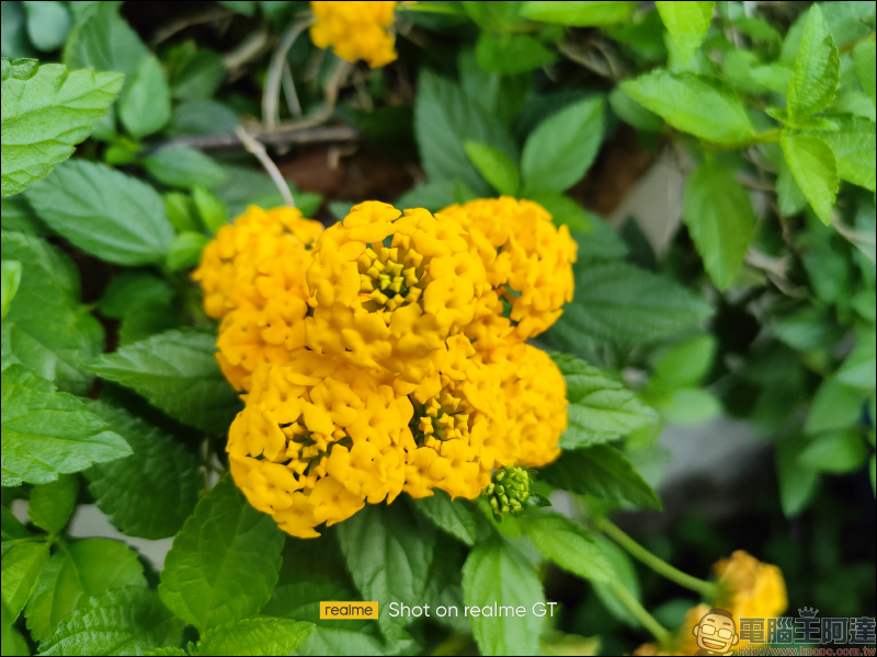realme GT |敢越級 S888 旗艦 5G 搶先開箱、實拍動手玩 - 電腦王阿達 realme GT |敢越級 S888 旗艦 5G 搶先開箱、實拍動手玩 - 電腦王阿達