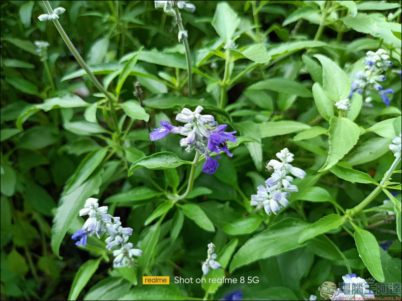 realme 8 5G 開箱動手玩|登入 5G・越級體驗!全台首搭載天璣 700 5G 處理器,全新夜景濾鏡、5000mAh 大電量 - 電腦王阿達 realme 8 5G 開箱動手玩|登入 5G・越級體驗!全台首搭載天璣 700 5G 處理器,全新夜景濾鏡、5000mAh 大電量 - 電腦王阿達