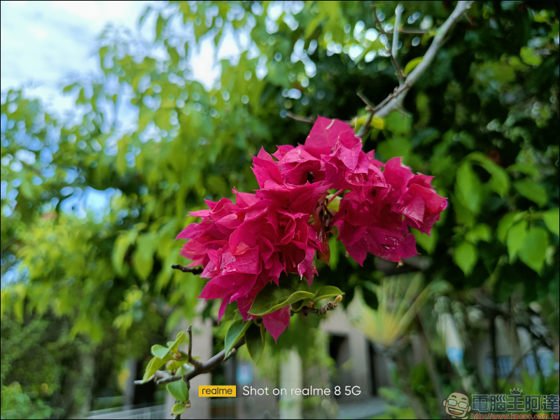 realme 8 5G 開箱動手玩|登入 5G・越級體驗!全台首搭載天璣 700 5G 處理器,全新夜景濾鏡、5000mAh 大電量 - 電腦王阿達 realme 8 5G 開箱動手玩|登入 5G・越級體驗!全台首搭載天璣 700 5G 處理器,全新夜景濾鏡、5000mAh 大電量 - 電腦王阿達