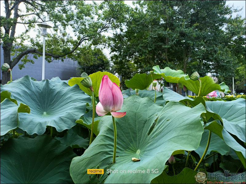 realme 8 5G 開箱動手玩|登入 5G・越級體驗!全台首搭載天璣 700 5G 處理器,全新夜景濾鏡、5000mAh 大電量 - 電腦王阿達 realme 8 5G 開箱動手玩|登入 5G・越級體驗!全台首搭載天璣 700 5G 處理器,全新夜景濾鏡、5000mAh 大電量 - 電腦王阿達