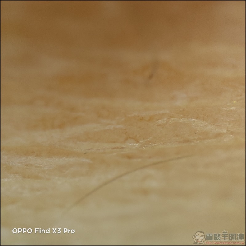 OPPO Find X3 Pro 拍攝樣張 - 50