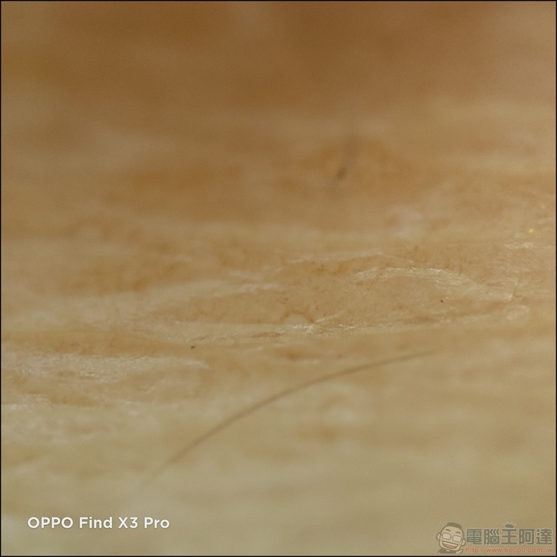 OPPO Find X3 Pro 拍攝樣張 - 50 OPPO Find X3 Pro 拍攝樣張 - 50