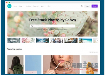 Free Stock Photos by Canva 提供數百萬張高畫質照片免費素材，由知名線上設計工具推出 - 電腦王阿達
