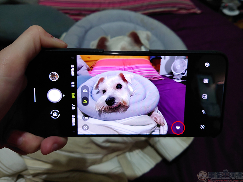 ROG Phone 5s Pro 開箱體驗：狂野效能讓你戰無不勝（評價 評測 動手玩） - 電腦王阿達