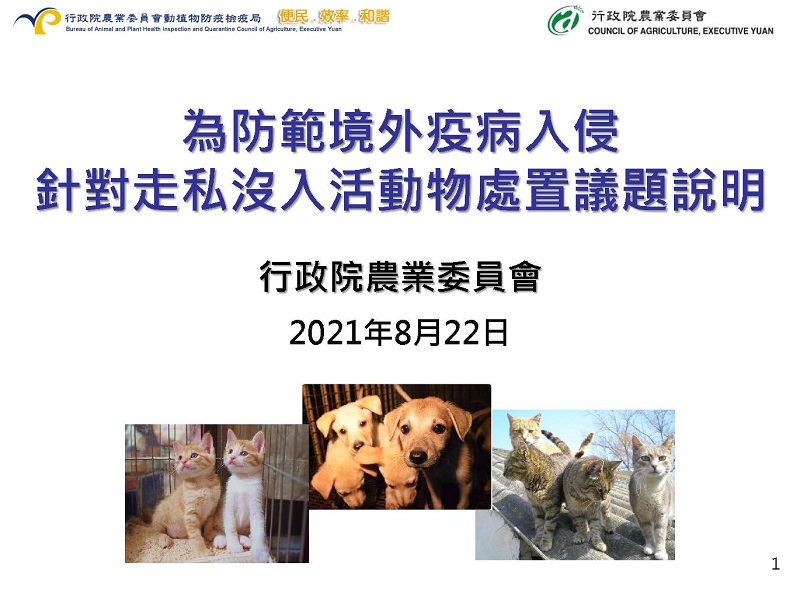 貓隻走私人道處置議題 動植物輸出入皆有嚴格檢疫規定 - 電腦王阿達 貓隻走私人道處置議題 動植物輸出入皆有嚴格檢疫規定 - 電腦王阿達