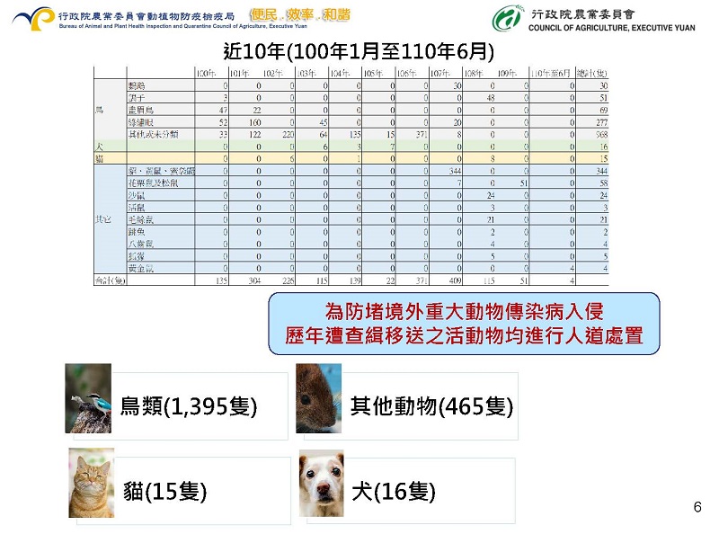 貓隻走私人道處置議題 動植物輸出入皆有嚴格檢疫規定 - 電腦王阿達 貓隻走私人道處置議題 動植物輸出入皆有嚴格檢疫規定 - 電腦王阿達