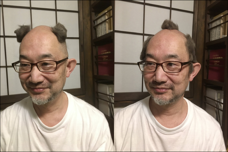 日本網友收集貓毛做成假髮,遠看髮量濃密且髮型超蓬鬆 - 電腦王阿達 日本網友收集貓毛做成假髮,遠看髮量濃密且髮型超蓬鬆 - 電腦王阿達