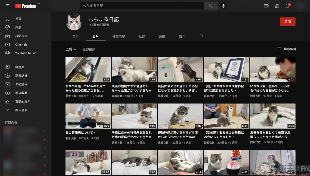 全球貓界最強 YouTuber！頻道觀看數累積 6.19 億次得到金氏世界紀錄認證 - 電腦王阿達