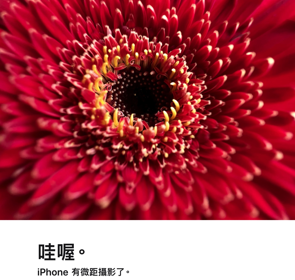 iPhone 13 Pro / 13 Pro Max 發表:微距拍攝+3x 望遠的主鏡頭全面進化、120Hz Pro Motion 高更新率「自適應」螢幕也來了 - 電腦王阿達 iPhone 13 Pro / 13 Pro Max 發表:微距拍攝+3x 望遠的主鏡頭全面進化、120Hz Pro Motion 高更新率「自適應」螢幕也來了 - 電腦王阿達
