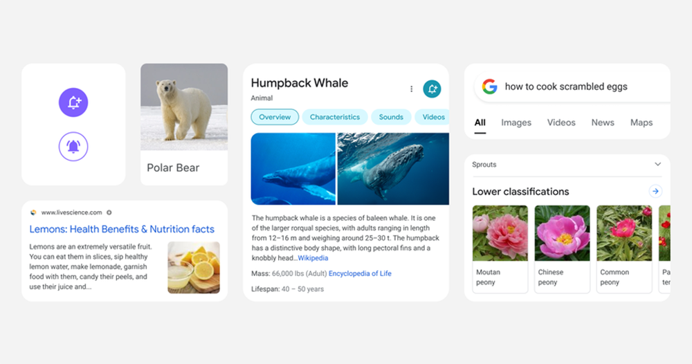 行動版 Google 搜尋結果將支援無限捲動 行動版 Google 搜尋結果將支援無限捲動