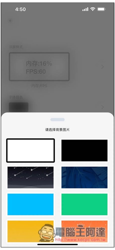 S__12730399 S__12730399