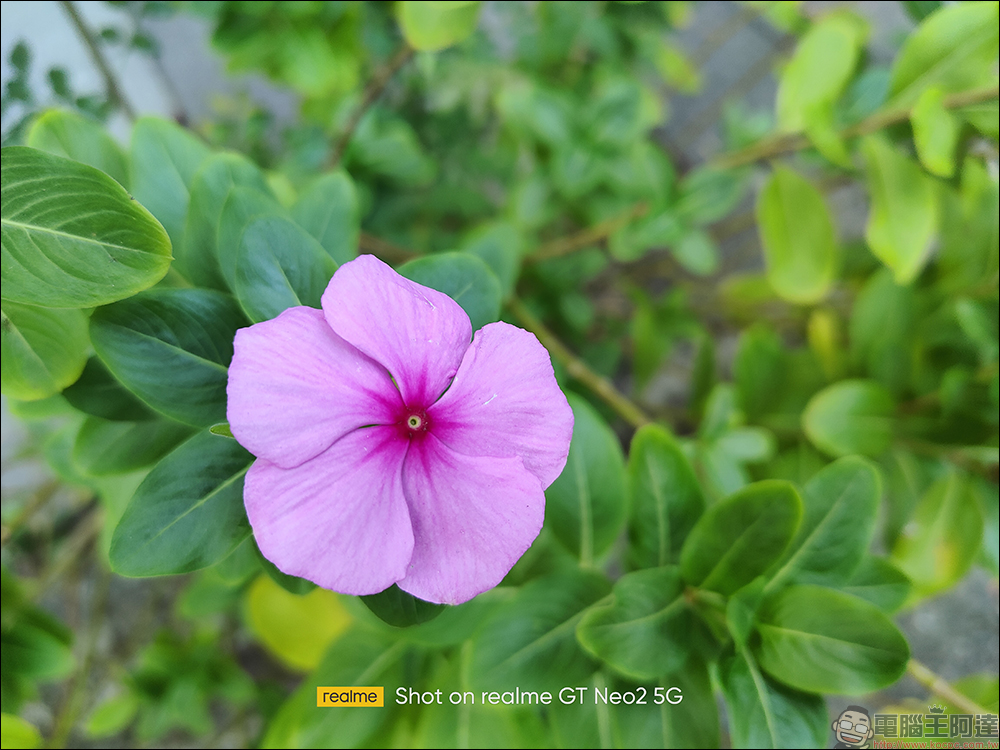 realme GT Neo2 開箱、評測|「Cool 冷黑薄荷」潮流性能旗艦殺手強勢登場!(同場加映:narzo 50 系列高 CP 值長續航平價新機) - 電腦王阿達 realme GT Neo2 開箱、評測|「Cool 冷黑薄荷」潮流性能旗艦殺手強勢登場!(同場加映:narzo 50 系列高 CP 值長續航平價新機) - 電腦王阿達