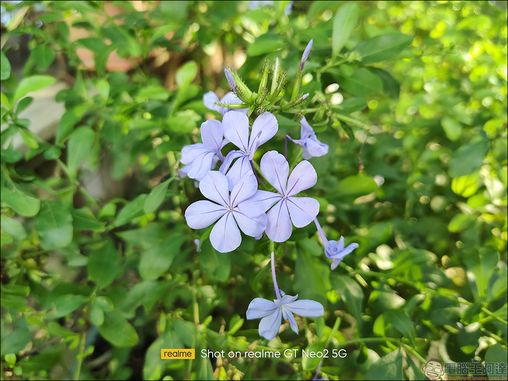 realme GT Neo2 開箱、評測|「Cool 冷黑薄荷」潮流性能旗艦殺手強勢登場!(同場加映:narzo 50 系列高 CP 值長續航平價新機) - 電腦王阿達 realme GT Neo2 開箱、評測|「Cool 冷黑薄荷」潮流性能旗艦殺手強勢登場!(同場加映:narzo 50 系列高 CP 值長續航平價新機) - 電腦王阿達