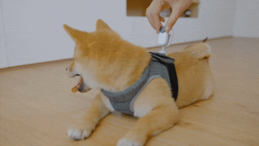ezgif.com-gif-maker ezgif.com-gif-maker