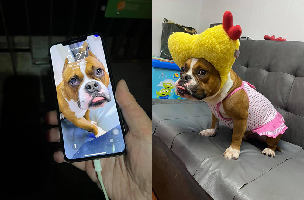 釣客釣到 iPhone ,手機泡 2 個月安然無恙,透過愛犬的桌布尋找到失主 - 電腦王阿達 釣客釣到 iPhone ,手機泡 2 個月安然無恙,透過愛犬的桌布尋找到失主 - 電腦王阿達