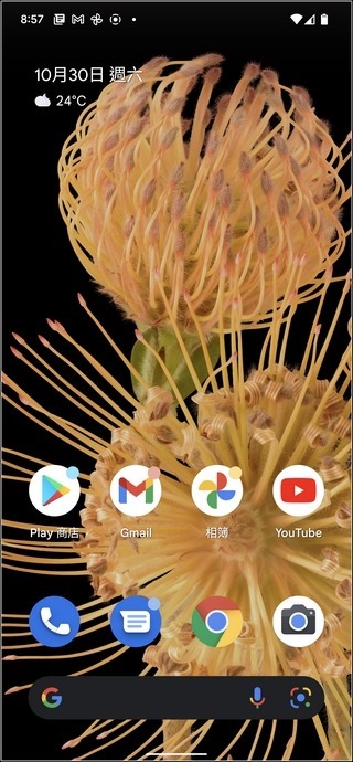 Google Pixel 6 Pro Android 12 UI -10