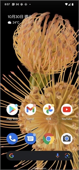 Google Pixel 6 Pro Android 12 UI -10 Google Pixel 6 Pro Android 12 UI -10
