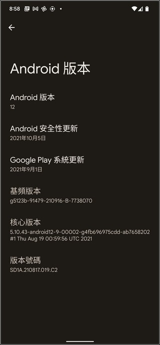 Google Pixel 6 Pro Android 12 UI -14