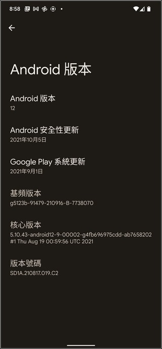 Google Pixel 6 Pro Android 12 UI -14 Google Pixel 6 Pro Android 12 UI -14
