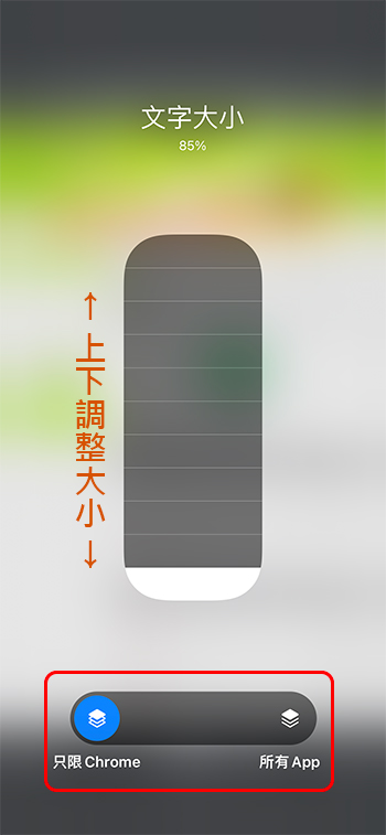 克服字太小閱讀障礙，如何在 iOS 15 中更改指定 APP 的字體顯示大小？ - 電腦王阿達
