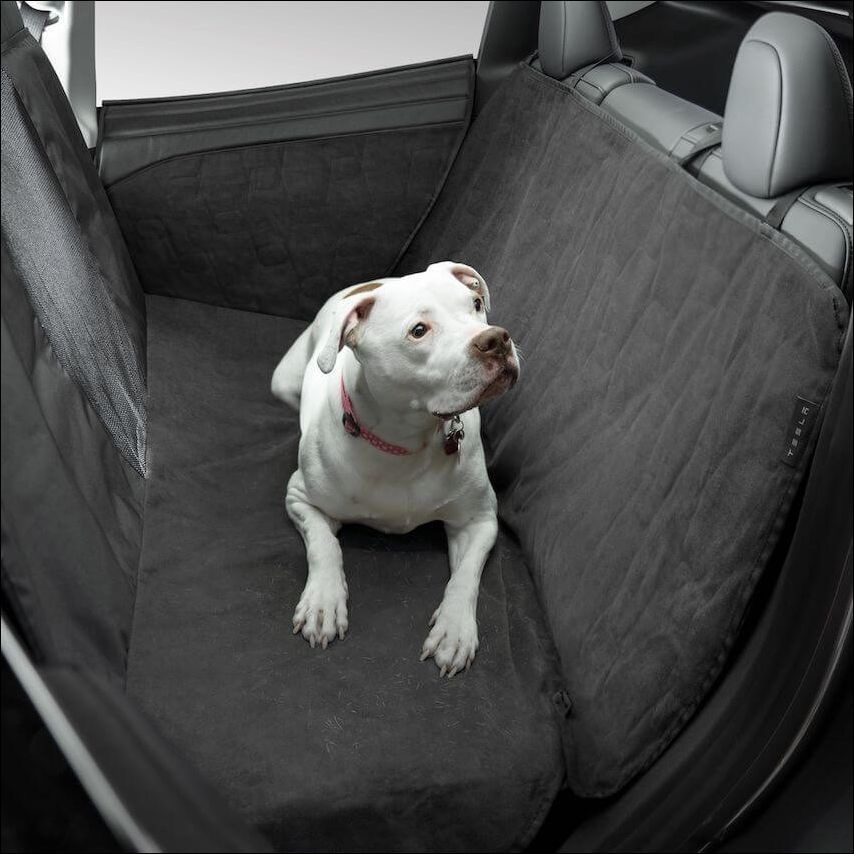 Tesla 推出車用寵物坐墊 Tesla 推出車用寵物坐墊