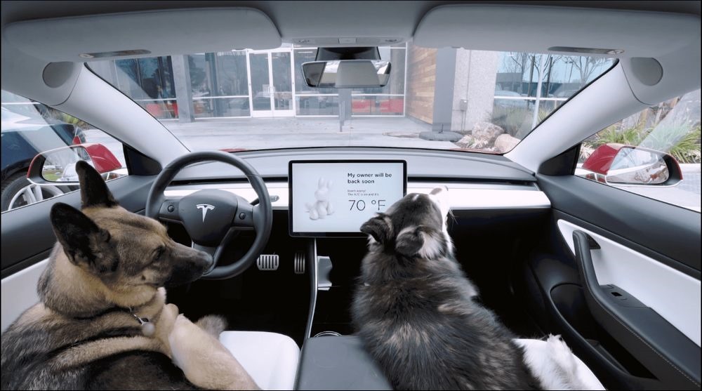 Tesla 獨特的寵物模式不僅讓車主帶寵物出門更加方便,也提供寵物最舒適自在的車室空間。 Tesla 獨特的寵物模式不僅讓車主帶寵物出門更加方便,也提供寵物最舒適自在的車室空間。