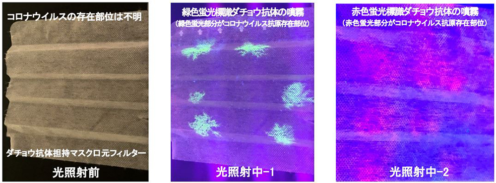 鴕鳥立大功!日本科學家開發出遇到 COVID-19 病毒會發亮的口罩 - 電腦王阿達 鴕鳥立大功!日本科學家開發出遇到 COVID-19 病毒會發亮的口罩 - 電腦王阿達