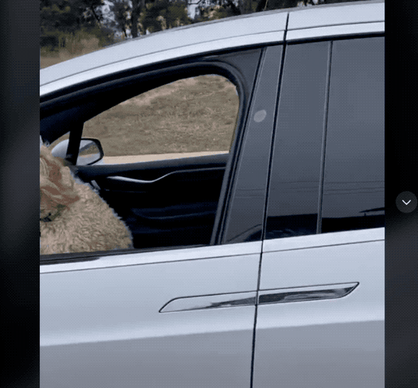 居然會有獨自讓狗狗開 Tesla 上路這種事?Autopilot 嚴重濫用問題無極限...(影片) - 電腦王阿達 居然會有獨自讓狗狗開 Tesla 上路這種事?Autopilot 嚴重濫用問題無極限...(影片) - 電腦王阿達