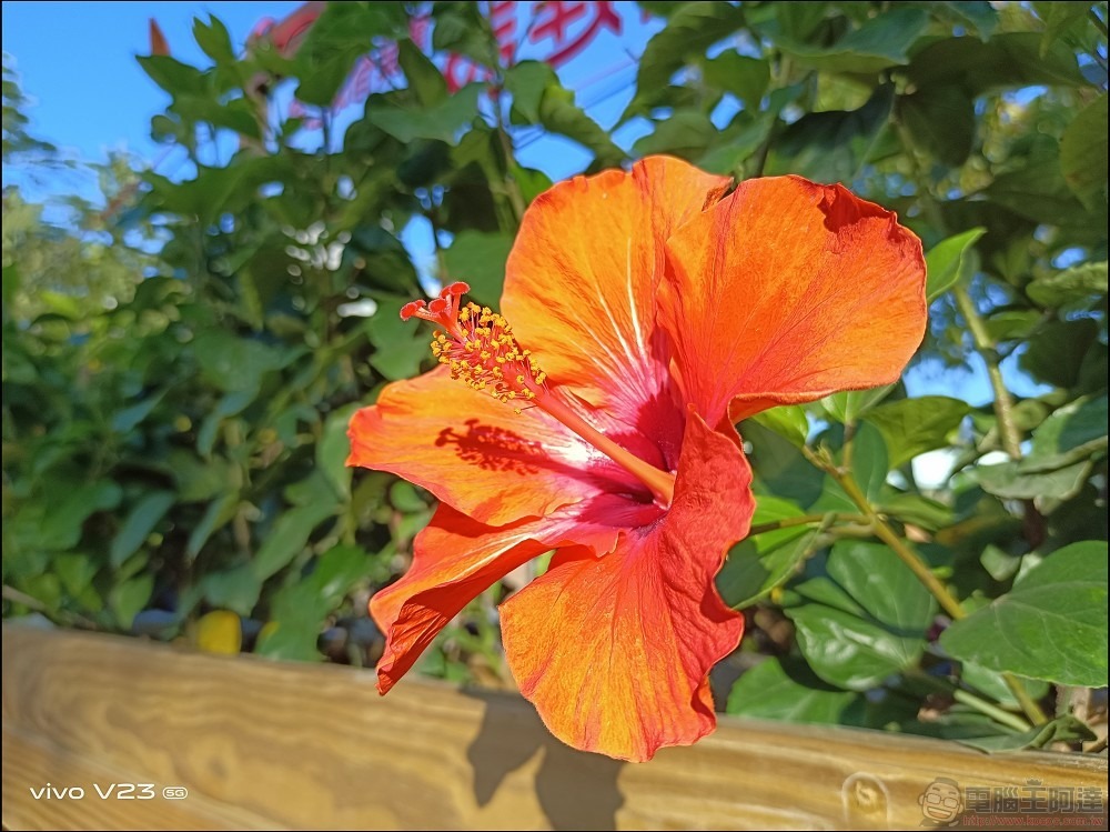 vivo V23 拍攝樣張 - 17 vivo V23 拍攝樣張 - 17