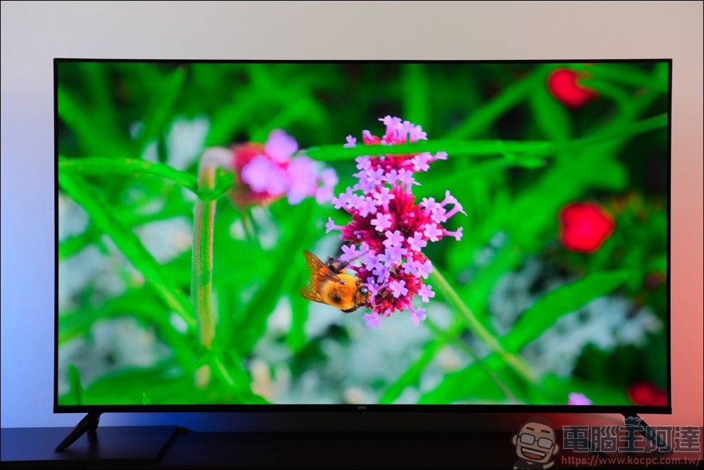OVO T65 QLED 量子點電視 - 28 OVO T65 QLED 量子點電視 - 28