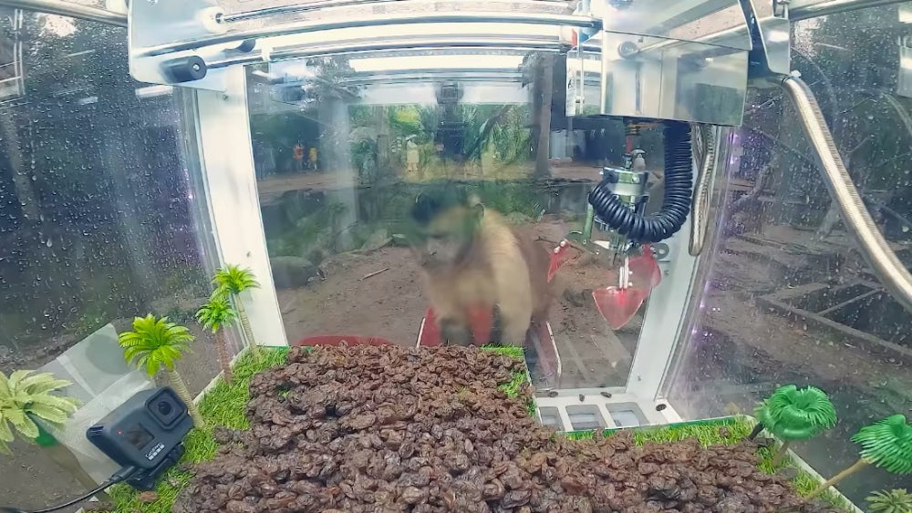 日本長崎 Bio Park 生態動物園成功讓一群猴子學會怎麼玩夾娃娃機 - 電腦王阿達 日本長崎 Bio Park 生態動物園成功讓一群猴子學會怎麼玩夾娃娃機 - 電腦王阿達