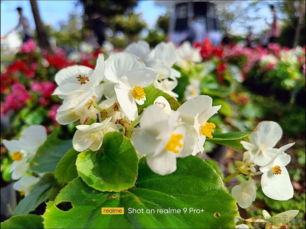 realme 9 Pro 拍照樣張 - 12 realme 9 Pro 拍照樣張 - 12