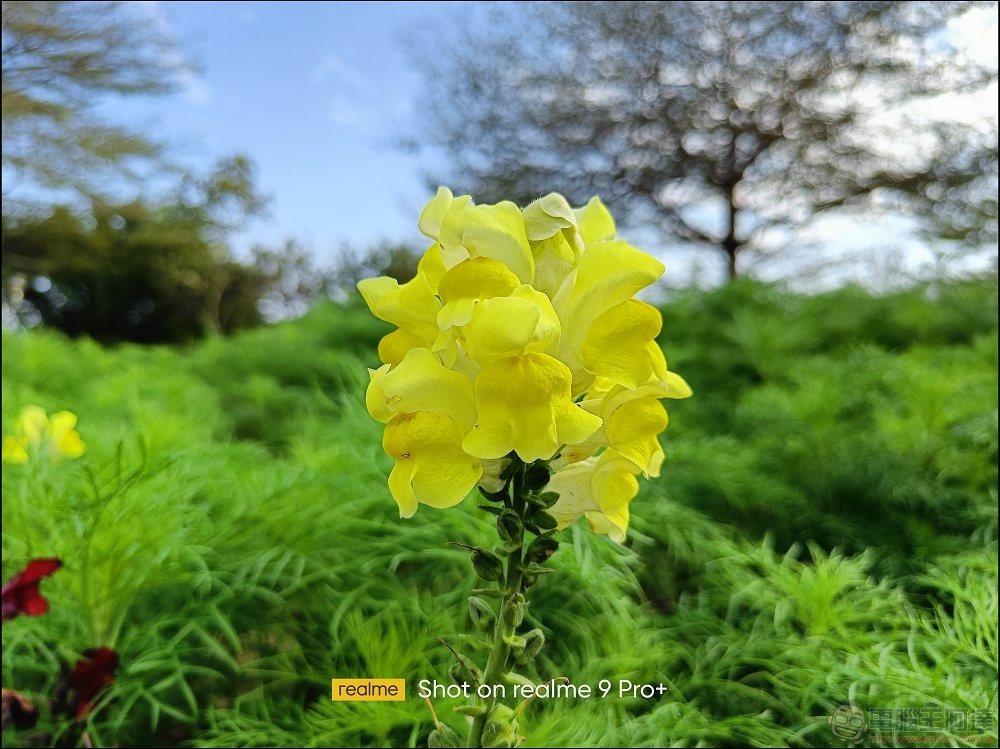 realme 9 Pro 拍照樣張 - 13 realme 9 Pro 拍照樣張 - 13