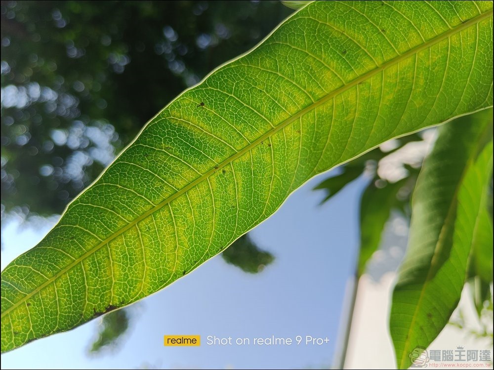 realme 9 Pro 拍照樣張 - 14 realme 9 Pro 拍照樣張 - 14