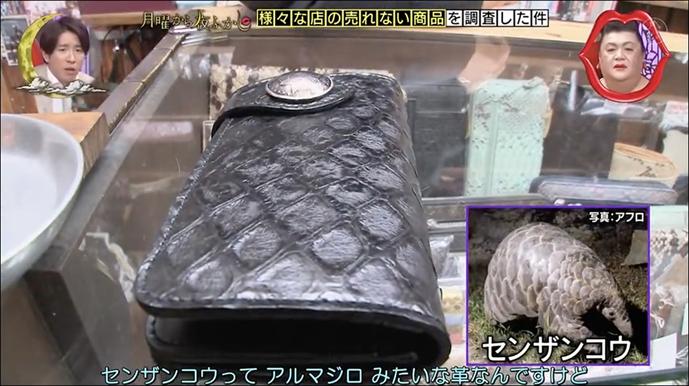日本節目《月曜夜未央》訪問店家「各種賣不掉的商品」,內容超稀奇古怪 - 電腦王阿達 日本節目《月曜夜未央》訪問店家「各種賣不掉的商品」,內容超稀奇古怪 - 電腦王阿達