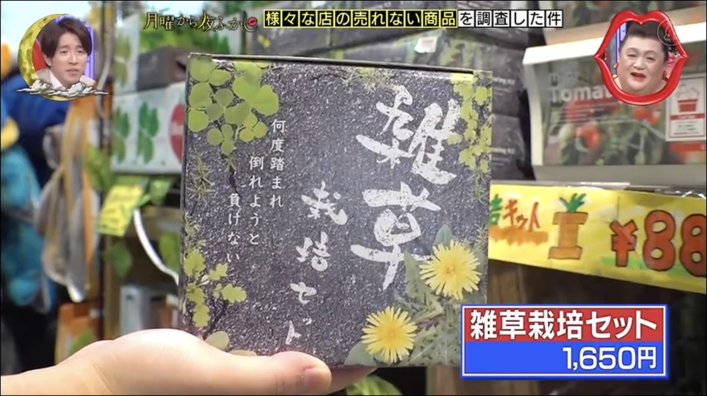 日本節目《月曜夜未央》訪問店家「各種賣不掉的商品」,內容超稀奇古怪 - 電腦王阿達 日本節目《月曜夜未央》訪問店家「各種賣不掉的商品」,內容超稀奇古怪 - 電腦王阿達
