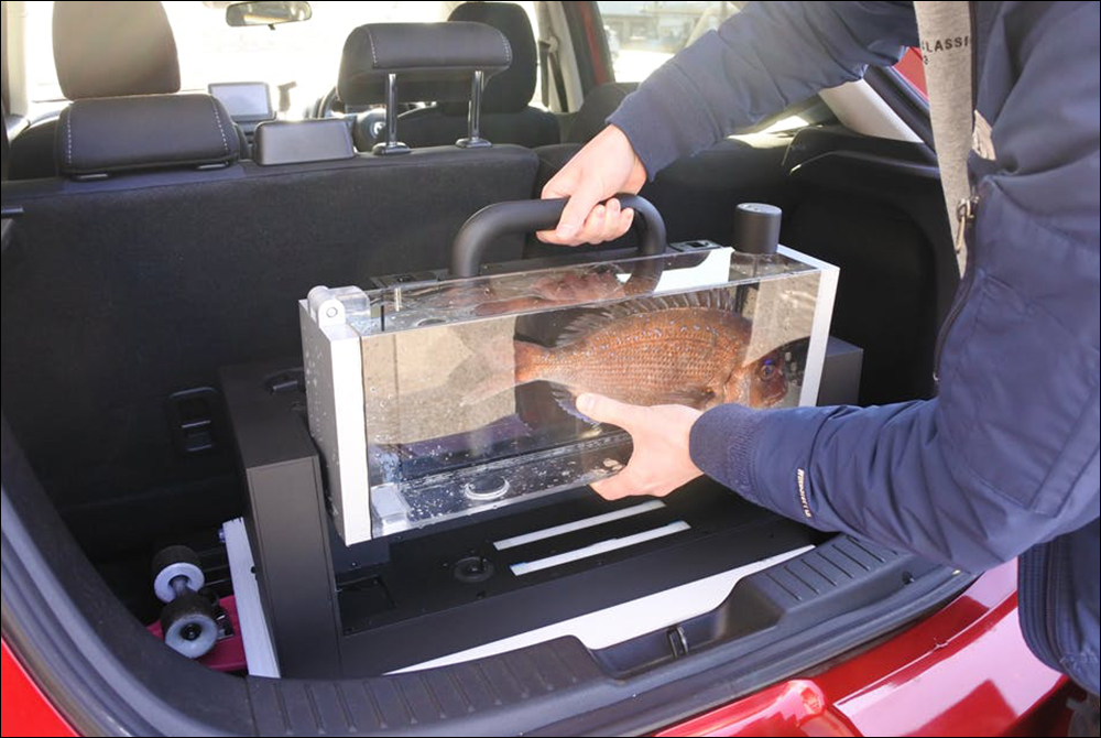 帶著魚孩子出門逛街？！日本推出「活魚BAG」提包，要價約 56.98 萬日圓 - 電腦王阿達