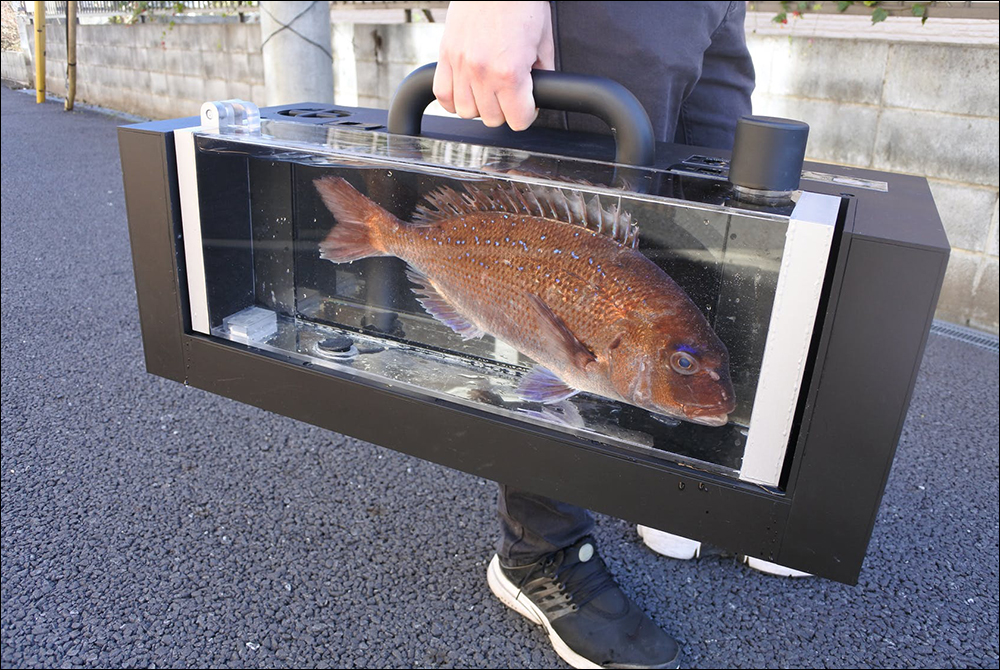 帶著魚孩子出門逛街?!日本推出「活魚BAG」提包,要價約 56.98 萬日圓 - 電腦王阿達 帶著魚孩子出門逛街?!日本推出「活魚BAG」提包,要價約 56.98 萬日圓 - 電腦王阿達