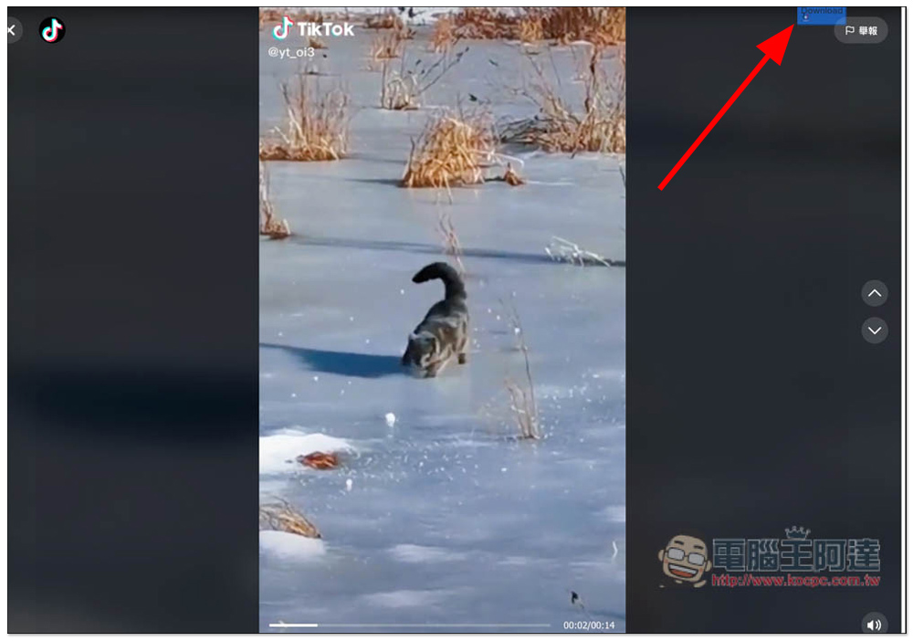 TikTokfull Download Video TikTok No Watermark 擴充功能,一鍵下載 TikTok 影片,還沒有浮水印 - 電腦王阿達 TikTokfull Download Video TikTok No Watermark 擴充功能,一鍵下載 TikTok 影片,還沒有浮水印 - 電腦王阿達