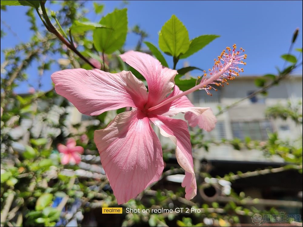 realme GT2 Pro 拍攝樣張 - 14 realme GT2 Pro 拍攝樣張 - 14